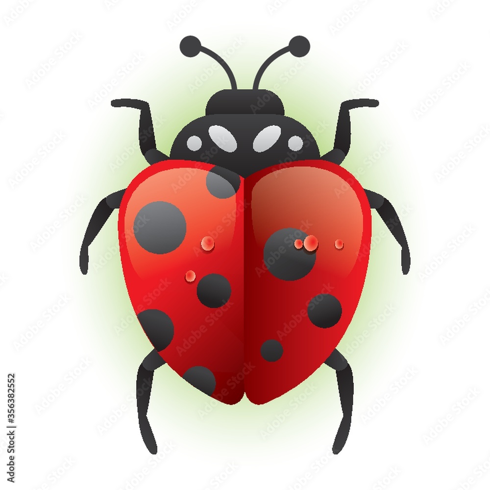 Obraz premium ladybird