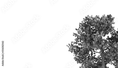 Ilustración en 3D de un árbol con hojas, estilo maqueta © Goretti