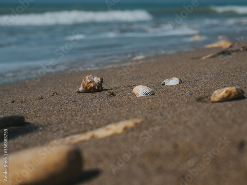 Beautiful Seashells And Sea Stones In The sand on the Sea Coast. Sea Waves On The Shore. Summer Concept. Wallpaper. High Quality © yavorovich