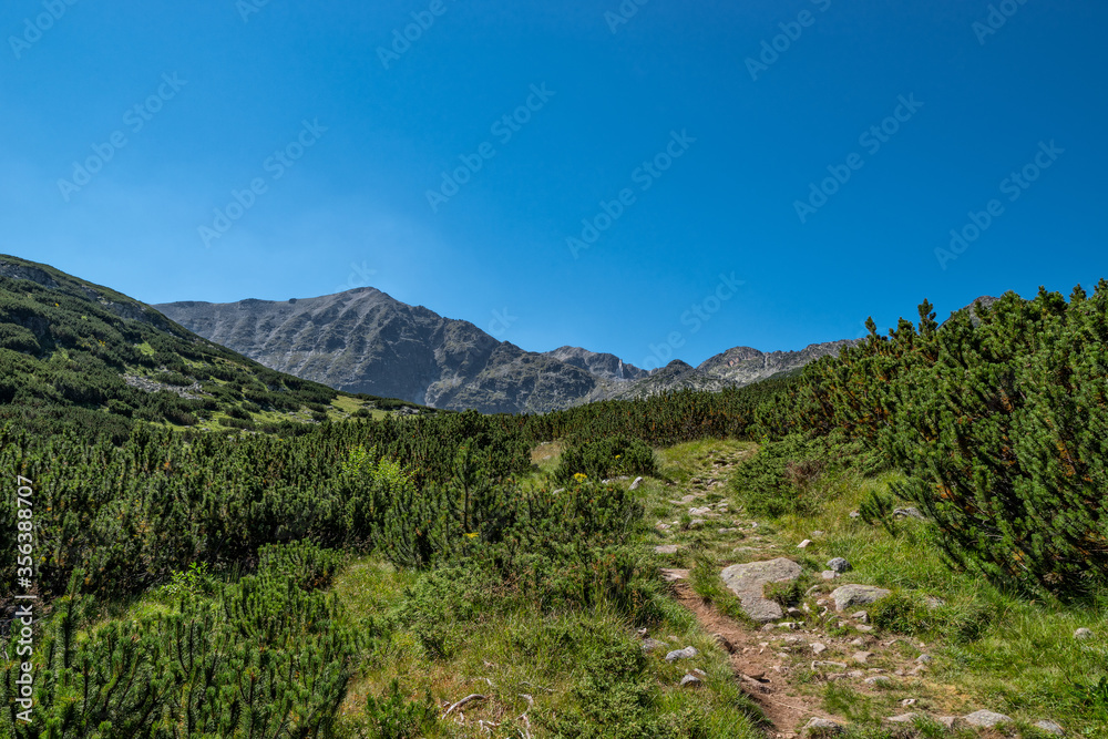 Path trough Rila mountain