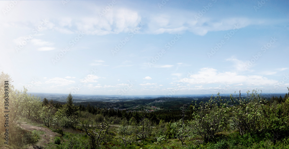 Panoramic view. Feldberg.