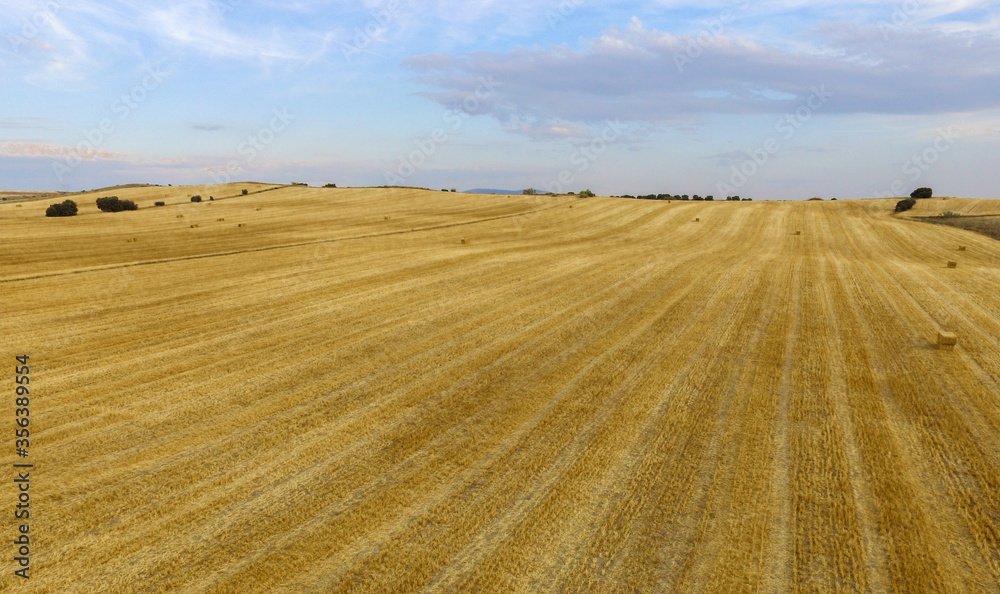 Captura en drone de un campo rural en la provincia de Avila