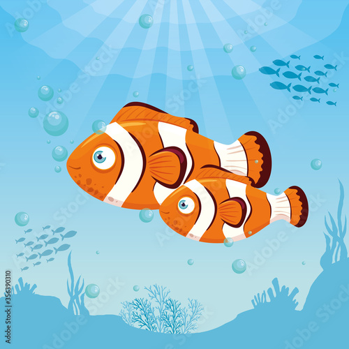 clownfish animals marine in ocean, sea world dwellers, cute underwater creatures,habitat marine vector illustration design