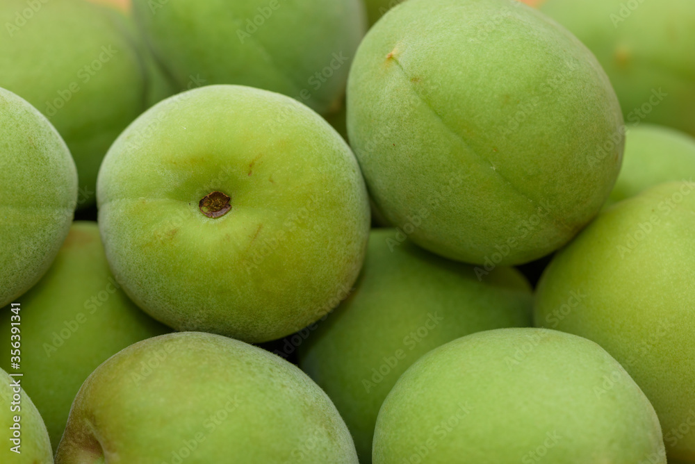 Harvested Green Japanese apricot fruit, Young fruits of Ume Harvested Green Japanese apricot fruit, Young fruits of Ume