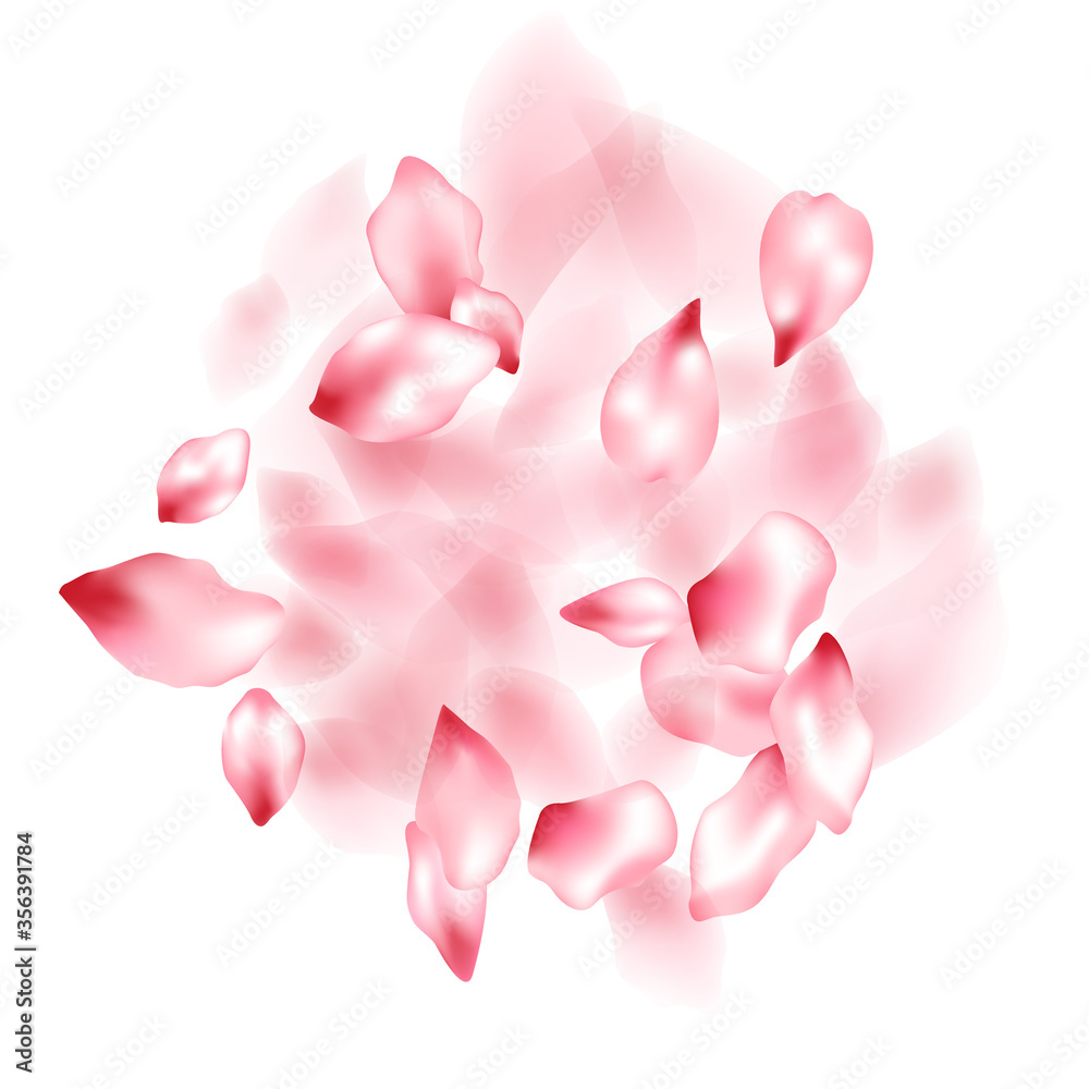 Obraz premium Pink sakura flower flying petals isolated on white vector background.