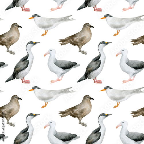Watercolor seamless pattern with nothern birds. Antarctic tern, Imperial shag, Wandering albatross, South polar skua. Wild birds for baby textile, wallpaper, nursery decoration. Antarctic series.