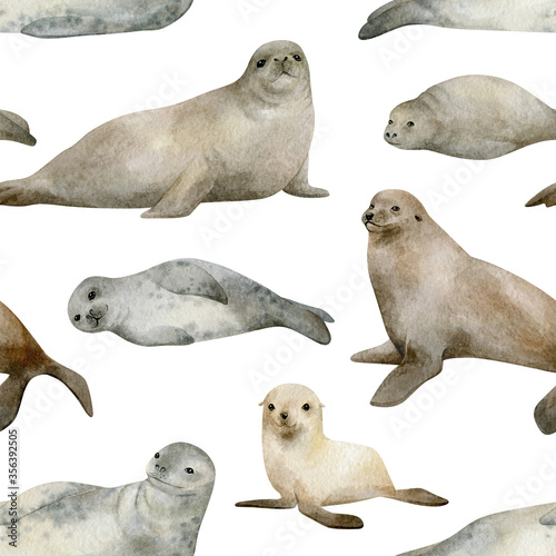 Watercolor seamless pattern with seals. Wild north animals. Fur seal, Leopard seal, Elephant seal.  Marine mammal for baby textile, wallpaper, nursery decoration. Antarctic series. © Kate K.