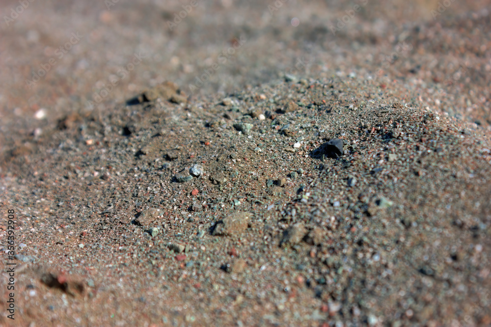 Natural texture of wet sand. Close-up photo. Background. Natural texture of wet sand. Close-up photo. Background.