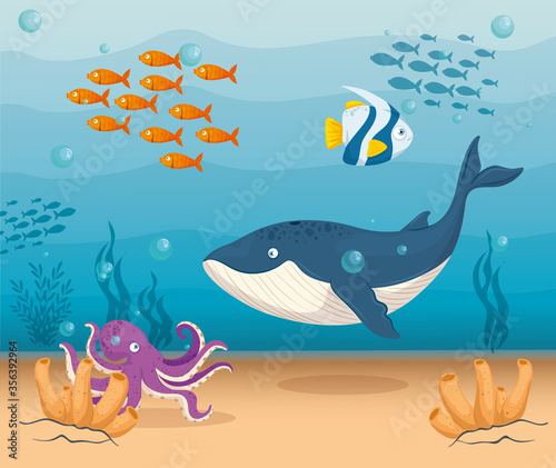 blue whale marine animal in ocean, with ornamental fishes and octopus , sea world dwellers, cute underwater creatures,habitat marine vector illustration design