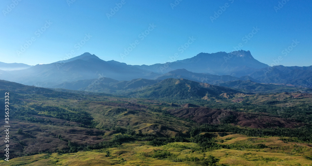 Beautiful forest view with Mount Kinabalu background and clear blue sky.