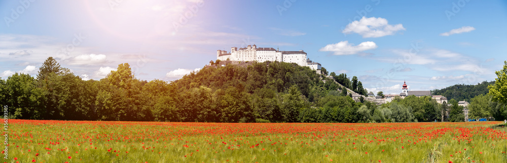 Obraz premium Festung Hohensalzburg in Summer. Blooming red poppy field and blue sky