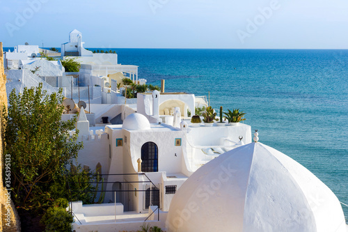 Tunisia, Cap Bon. Hammamet. Typical white roofs of the medina © BTWImages