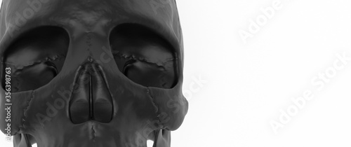 Skull black background. 3d render