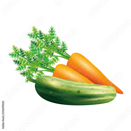 carrot and cucumber design, Vegetable organic food healthy fresh natural and market theme Vector illustration