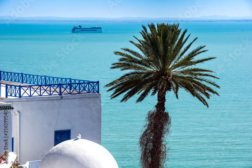 Africa, Tunisia, Sidi Bou Said. view of the Gulf of Tunis. photo