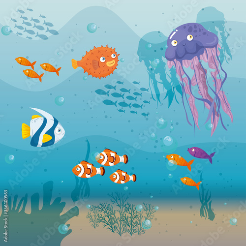 jellyfish animal marine in ocean, with ornamental fishes, sea world dwellers, cute underwater creatures,habitat marine vector illustration design