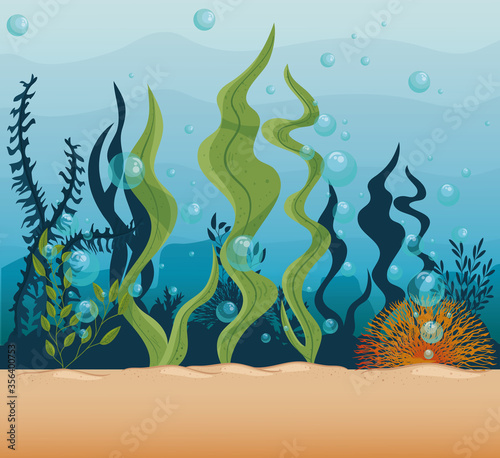 underwater background, undersea reef, ocean with marine algae scene, habitat marine concept vector illustration design