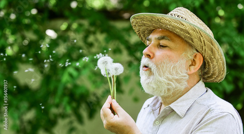 Lonely grandpa blowing dandelion seeds in park. Mental health. Tranquility and serenity. Harmony of soul. Elderly man in straw summer hat. Happy and carefree retirement. Peace of mind. Peacefulness