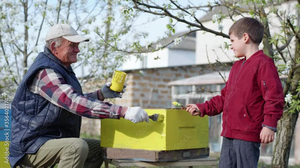 portrait of happy hardworking beekeepers, an elderly smiling man and his grandson rejoice at completion of work with beehives and wave at camera holding paint brushes in their hands portrait of happy hardworking beekeepers, an elderly smiling man and his grandson rejoice at completion of work with beehives and wave at camera holding paint brushes in their hands