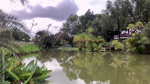 Toa Payoh Town Park in a sunny day, serenity in the middle of the city photo