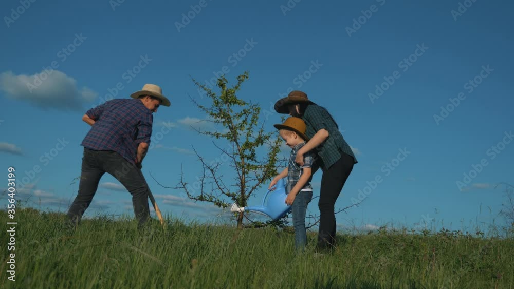 Teamwork. A happy family of father, mother and son plants a green young tree on a Sunny summer day in their garden. Teamwork. A happy family of father, mother and son plants a green young tree on a Sunny summer day in their garden.