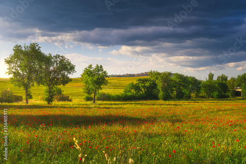 Stormy weather over poppies and fields of green