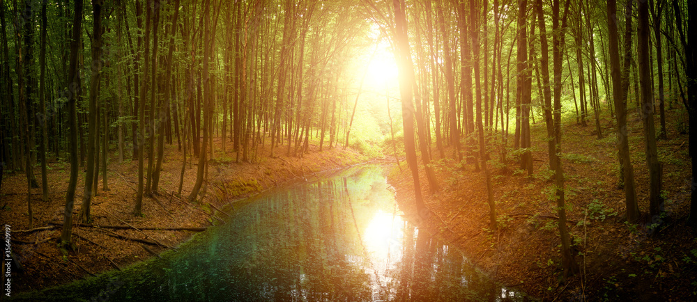 Obraz premium Calm wide river in a mystical forest.