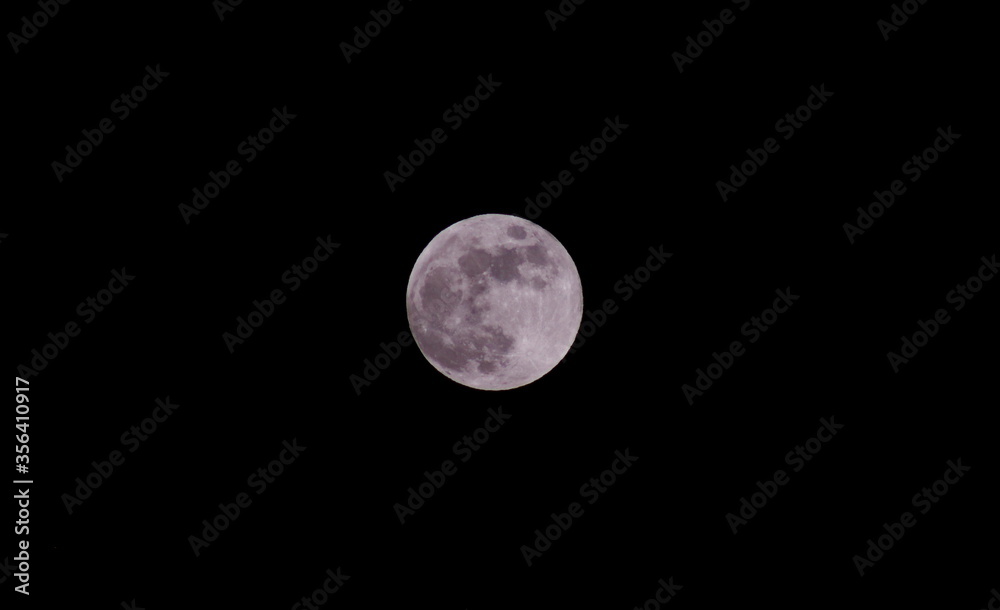 Fototapeta premium full moon in the night