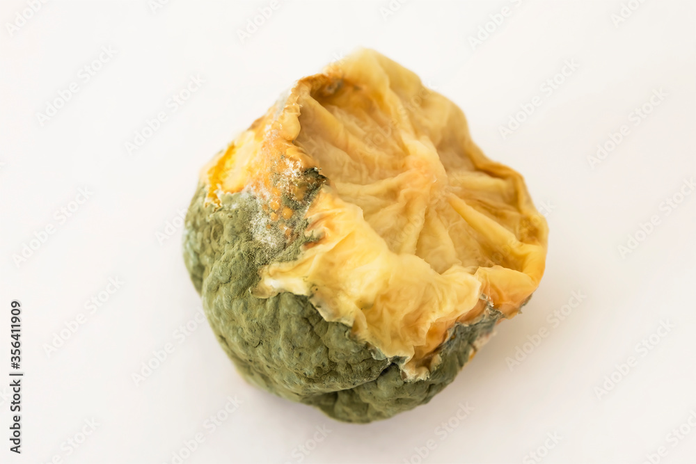 Old lemon with mold. Macro photo. The lemon has gone bad. Lemon is rotten. Texture of mold and fibers of an old lemon. Lime peel is moldy. White background Old lemon with mold. Macro photo. The lemon has gone bad. Lemon is rotten. Texture of mold and fibers of an old lemon. Lime peel is moldy. White background