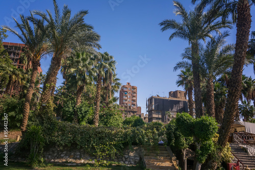 Views on the banks of the Nile in Cairo