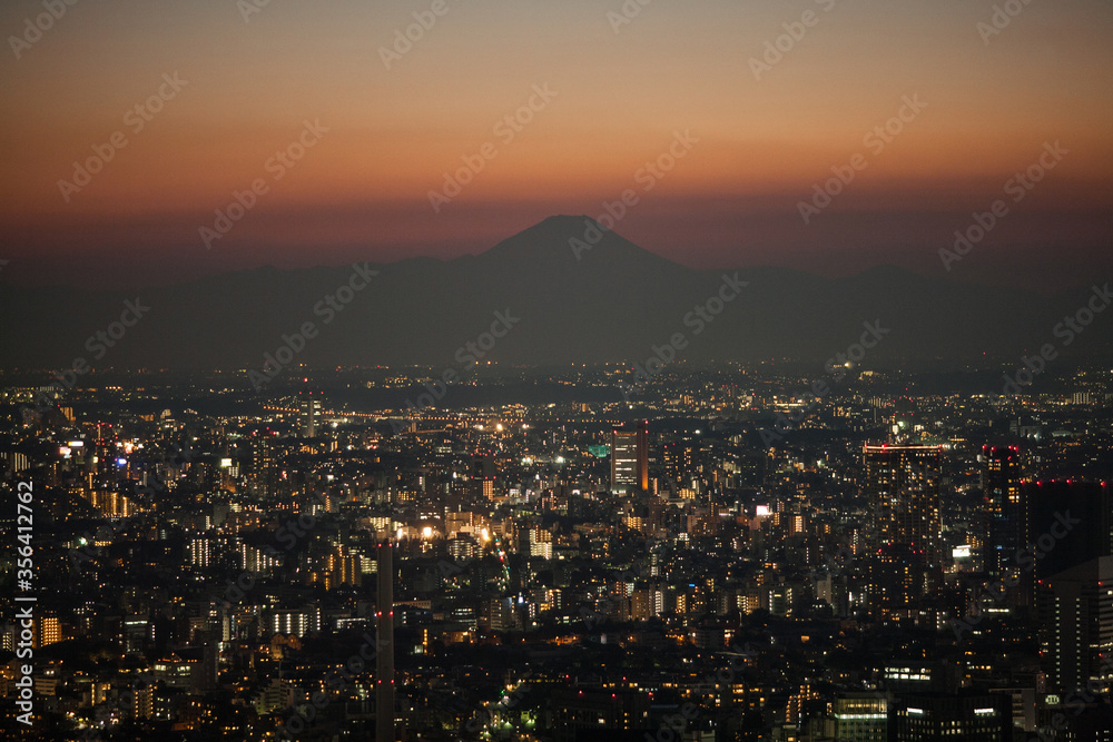 Night view of Tokyo with Fuji mountain, Japan