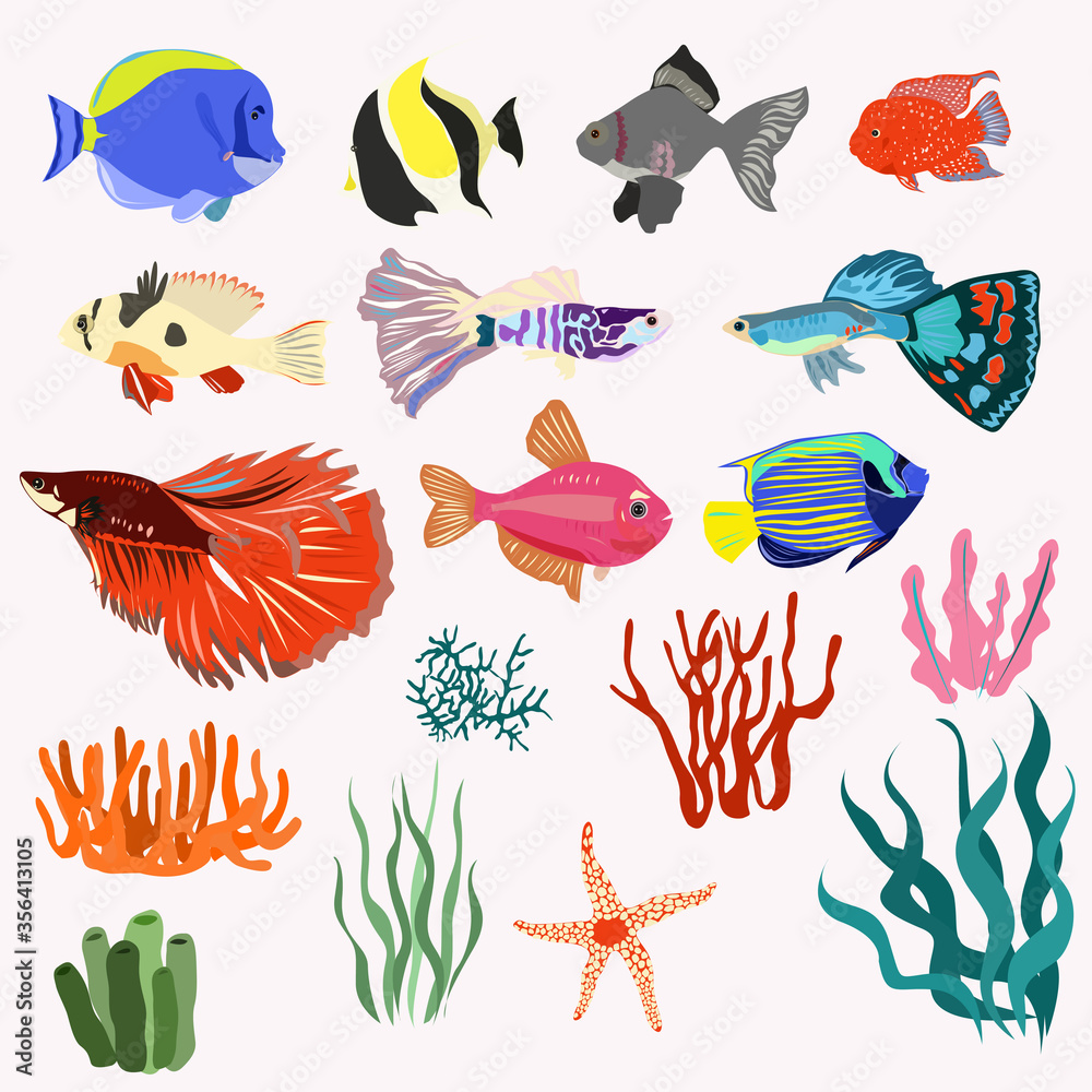 Set of aquarium fish and algae with corals