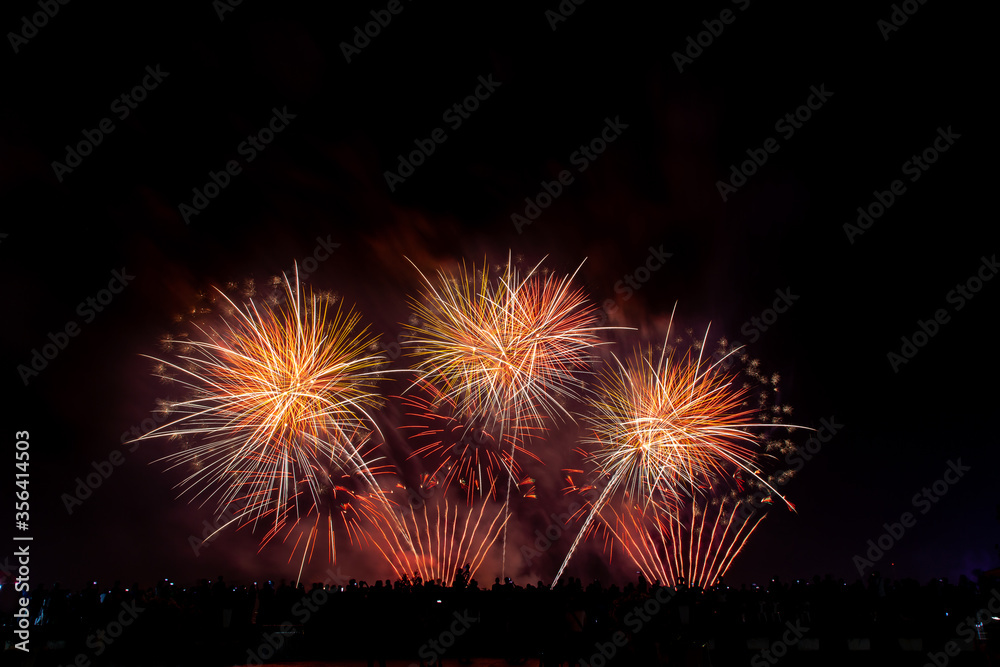 Crowd looks holiday fireworks in dark evening sky. Crowd looks holiday fireworks in dark evening sky.