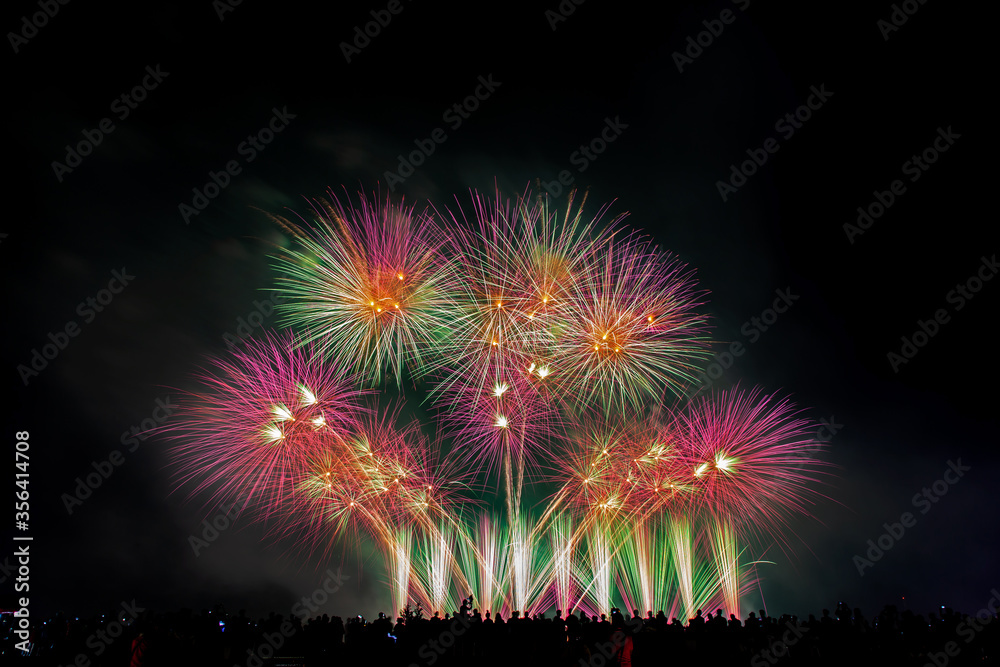 Crowd looks holiday fireworks in dark evening sky. Crowd looks holiday fireworks in dark evening sky.