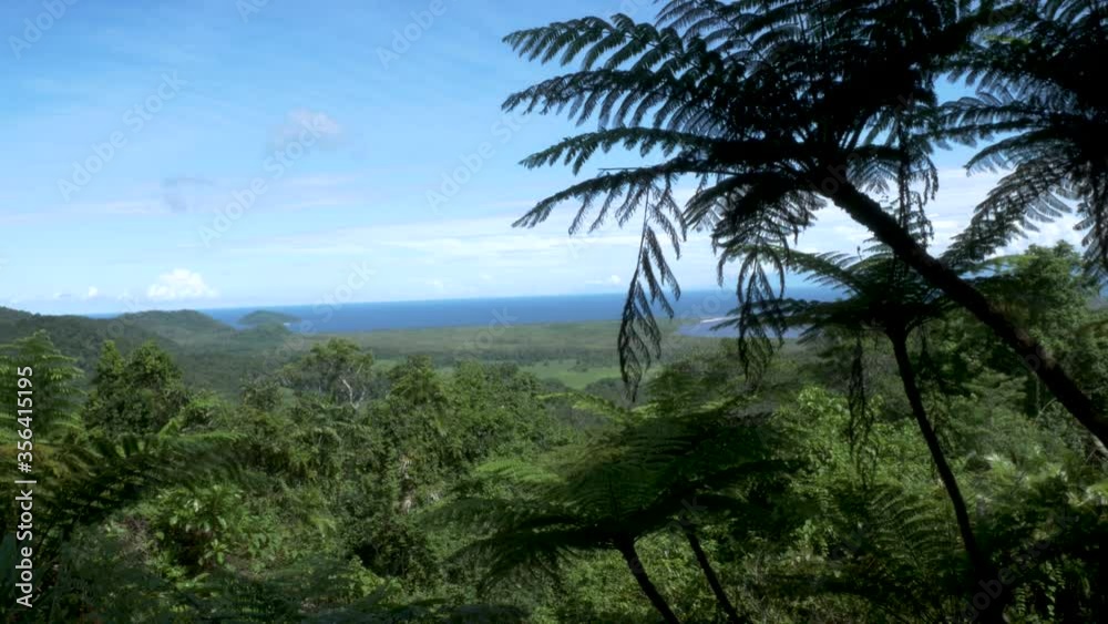Rainforest viewpoint tropical climate blue sky blue water green lush rainforest Rainforest viewpoint tropical climate blue sky blue water green lush rainforest