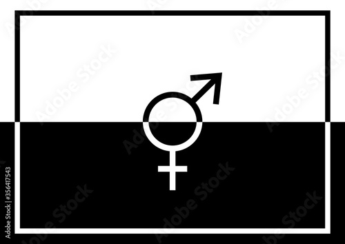 A graphic illustration of joined black and white male and female symbols to show gender equality with copy space photo