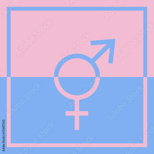 A square graphic illustration of joined blue and pink male and female symbols to show gender equality photo