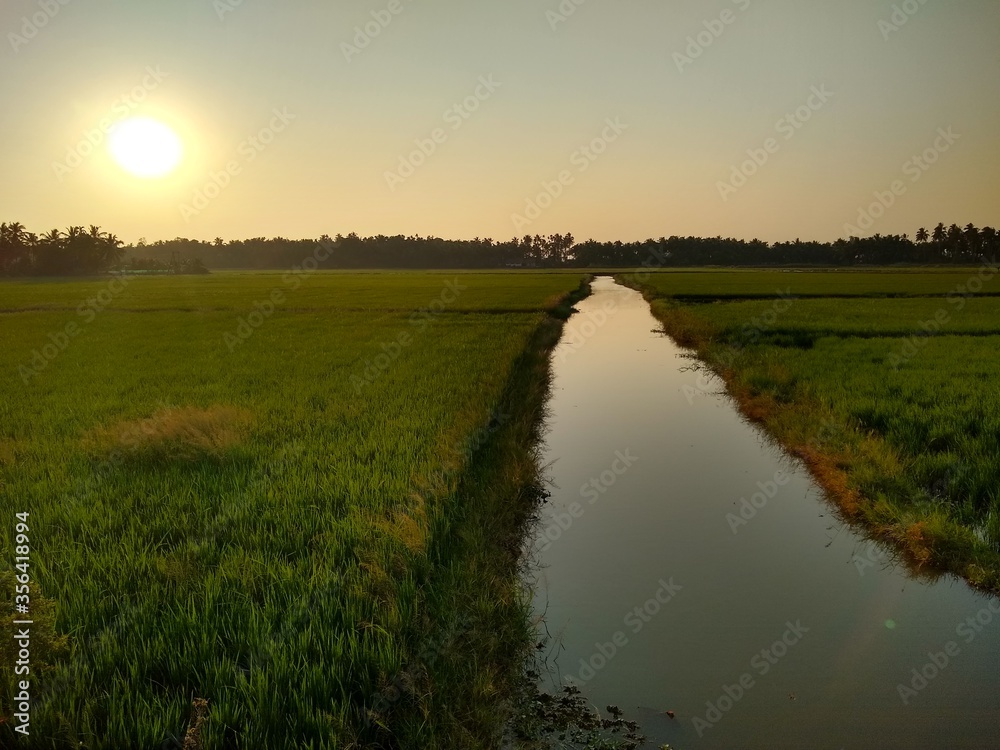 sunrise over the river