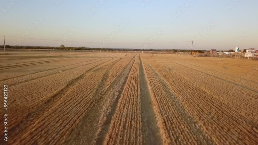 Harvesting #1 Harvesting #1