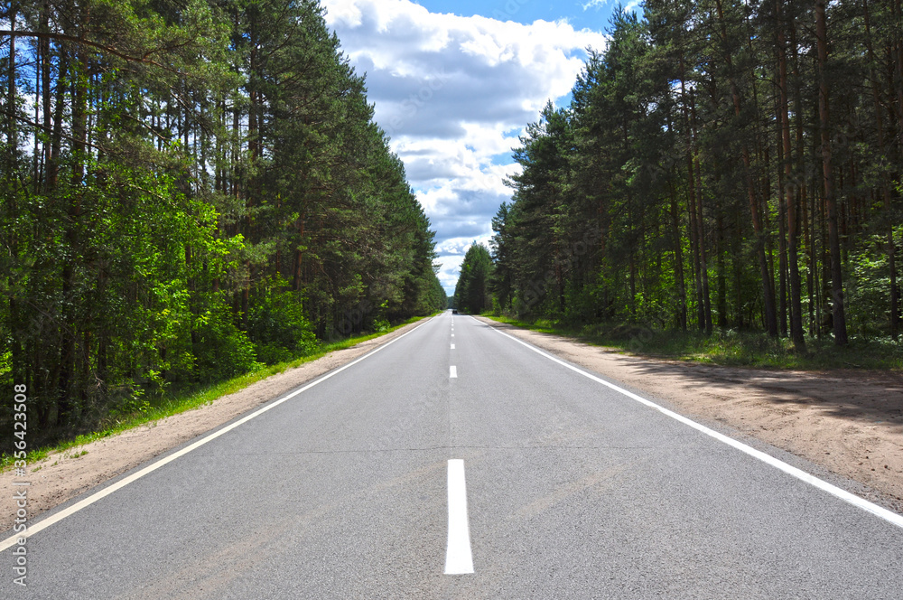 a road in the forest a road in the forest