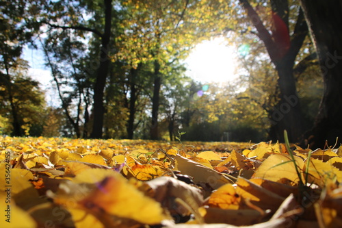 sunshine in Prague