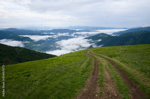 Road in the mountains on the green meadow against panoramic mountain range view. Road tracks in Carpathian mountains. Clouds over valley in the morning. Stunning mountain landscape. Ukraine.