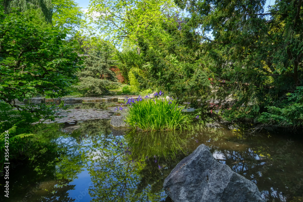 Teichlandschaft eines öffentlichen Parks in Leverkusen Teichlandschaft eines öffentlichen Parks in Leverkusen