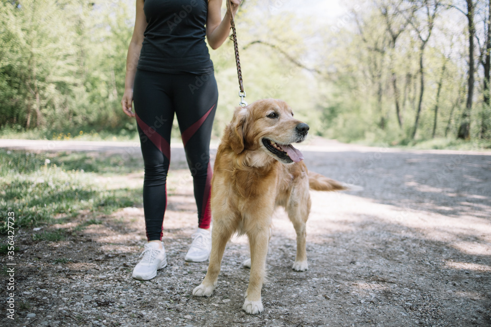 Cropped girl walking dog along pathway. Woman in sportswear walking her dog in nature during hot weather. Cropped girl walking dog along pathway. Woman in sportswear walking her dog in nature during hot weather.