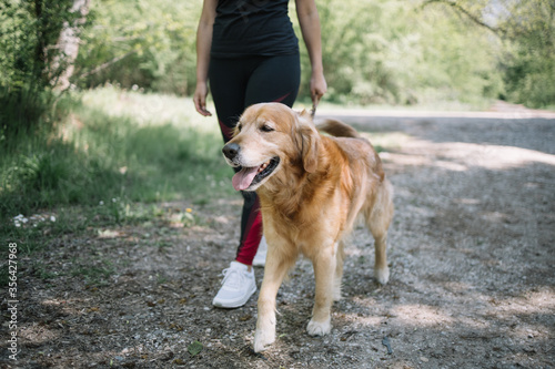 Young lady walking dog, low section. Cute red dog on leash walking on nature path next to female's legs in leggings.