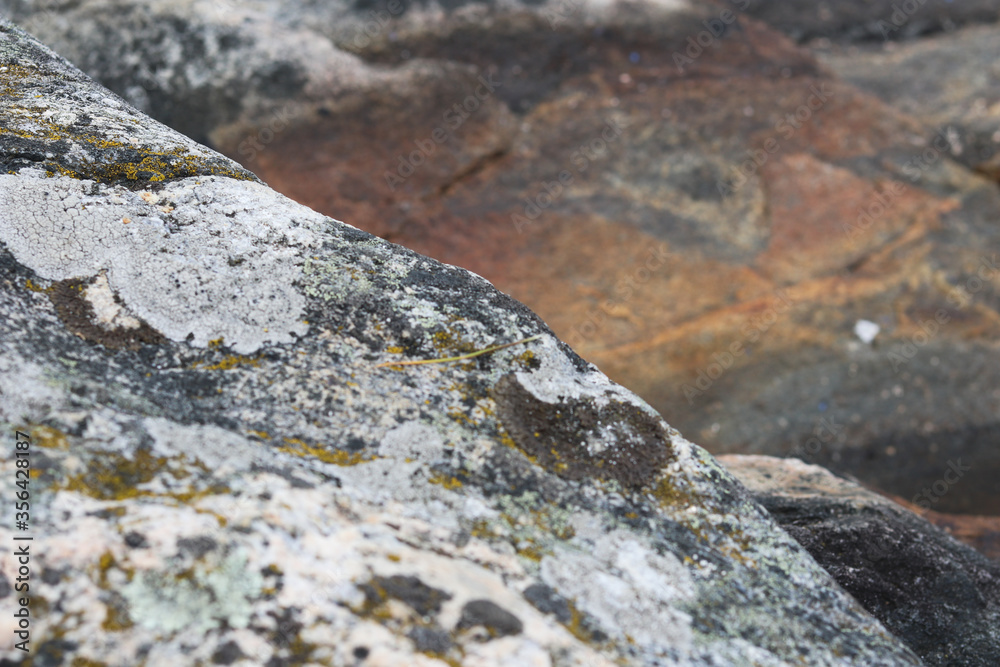 rock texture background rock texture background