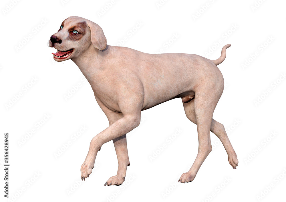 3D Rendering Crossbreed Dog on White