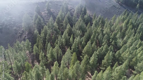 Areal shot of El montanon negro (montañón negro) old mine with pine trees in Gran Canaria, by Galdar, Canay Island. Volcano. photo