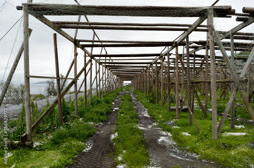 empty wooden stockfish structure with small salt piles on the green ground empty wooden stockfish structure with small salt piles on the green ground