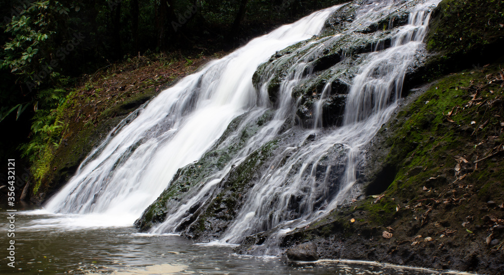 waterfall in the forest waterfall in the forest